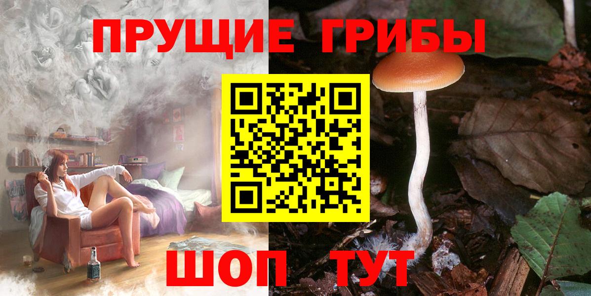 Галлюциногенные грибы GOLDEN TEACHER  закладка  Александров  Вход с VPN  Галлюциногенные грибы Cubensis 
